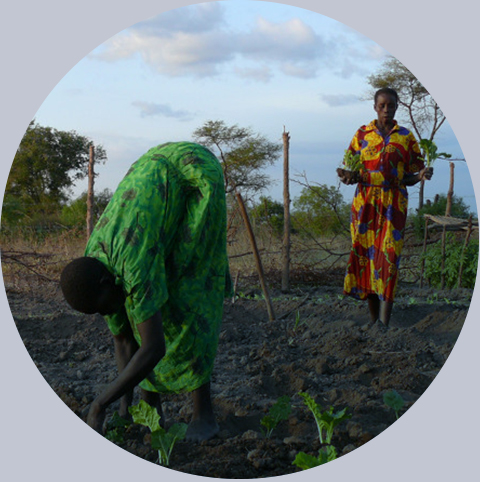 Dwie kobiety sadzą ręcznie sadzonki w ogórdku, Sudan Południowy, Afryka, 2007 rok. Fot.: PAH