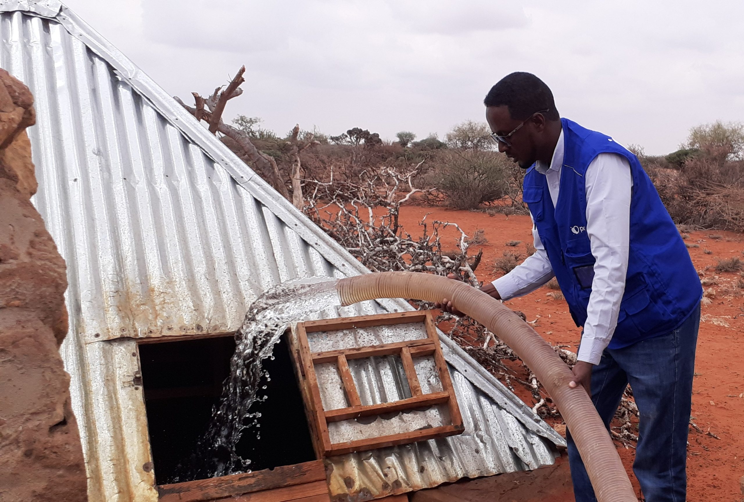 2022-2025 – SOMALIA – WASH / DRR - Polska Akcja Humanitarna