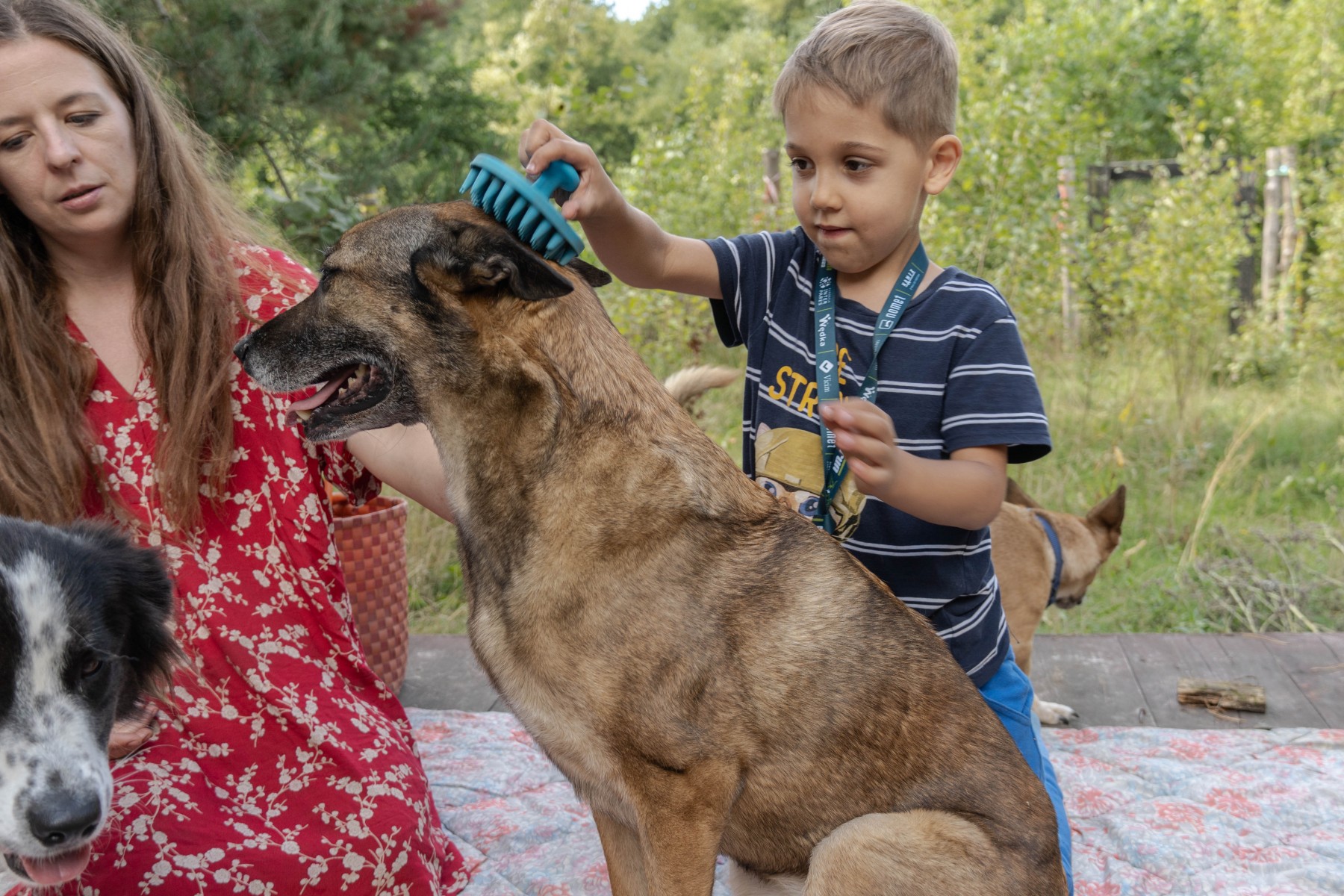 Contact with animals may be a great support for the children.  Activities in Inter Pares Foundation during our Pajacyk: psychosocial support programme (13.08.2023)