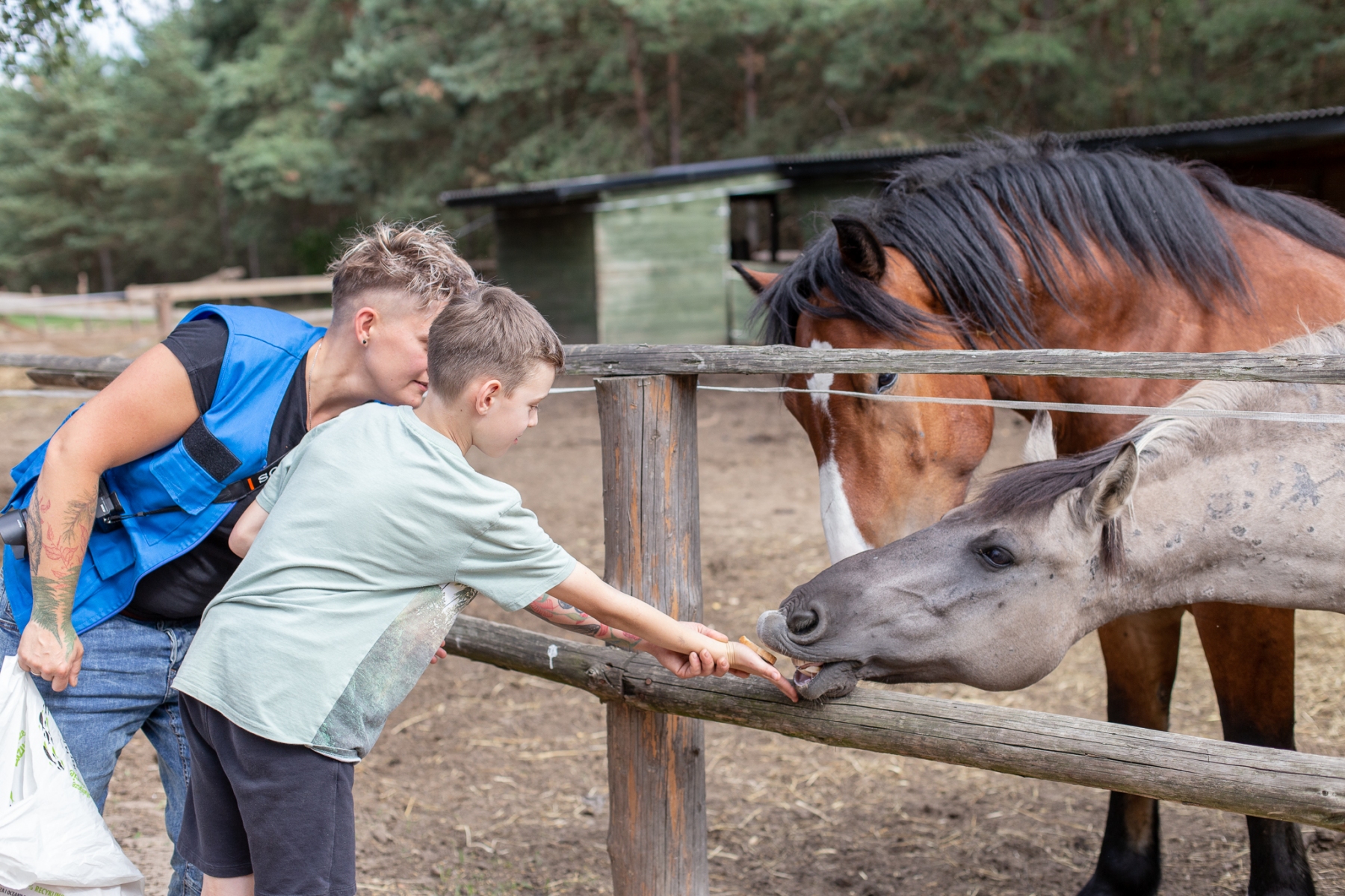 Zajecia z końmi w Fundacji Inter Pares, która realizowała program Pajacyk: pomoc psychospołeczna dla dzieci z Ukrainy (13.08.2023)
